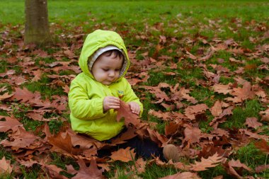 Küçük oğlan ağacın yanında sonbahar çimenlerin üzerinde oynama