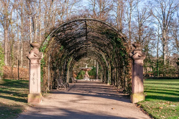 Park Orangerie Strasburg Słoneczny Chłód Zimą — Zdjęcie stockowe