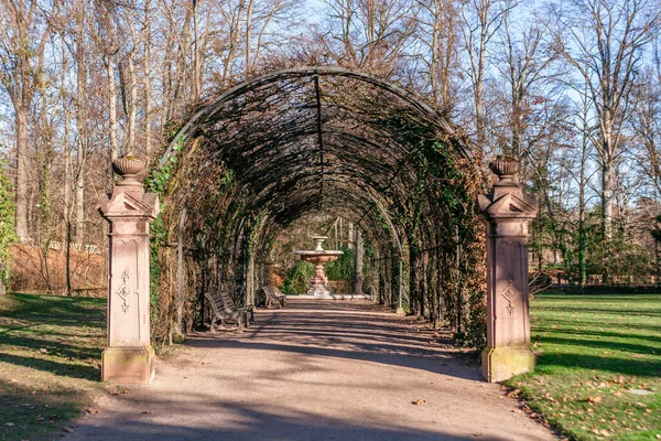 Park Orangerie Strasbourg Sonnige Kälte Winter — Stockfoto