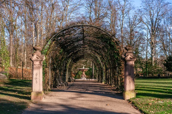 Park Orangerie Strasburg Słoneczny Chłód Zimą — Zdjęcie stockowe