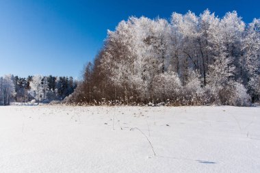 İzlerle dolu karlı tarlalar, kışın ağaçlar, buzlu göl
