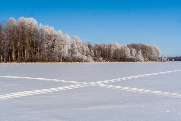 Snowy Pole Śladami Drzewa Zimie Jezioro Frosen — Zdjęcie stockowe