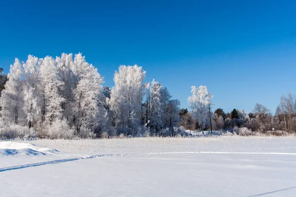 Снежное Поле Следами Деревья Зимой Озеро Фрозен — стоковое фото