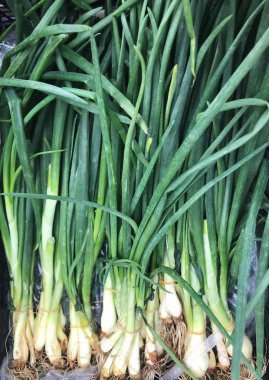 Gıda arka plan renk görüntüsü