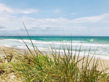 Sahil ve Deniz Parlak Günışığında