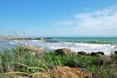 Sahil ve Deniz Parlak Günışığında