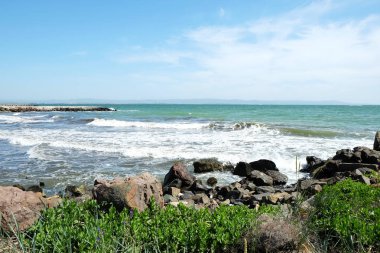 Sahil ve Deniz Parlak Günışığında