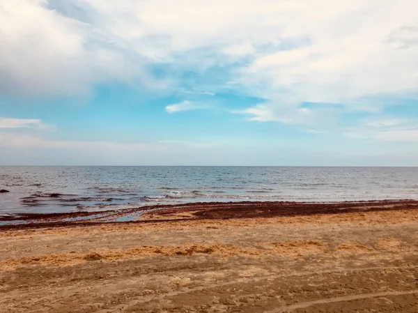 Sahil Deniz Parlak Günışığında — Stok fotoğraf