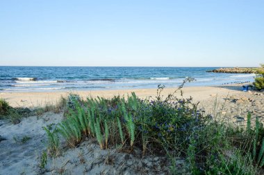 Sahil ve Deniz Parlak Günışığında