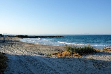 Sahil ve Deniz Parlak Günışığında