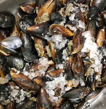 Gıda arka plan renk görüntüsü