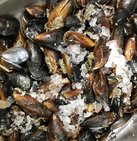 Gıda arka plan renk görüntüsü