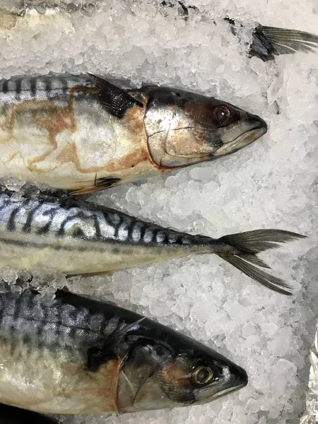 Gıda arka plan renk görüntüsü