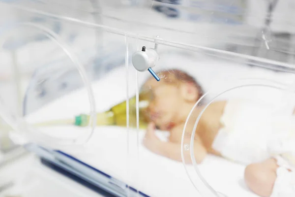 Sliven Bulgarije Januari 2012 Pasgeboren Baby Ziekenhuis Incubator — Stockfoto