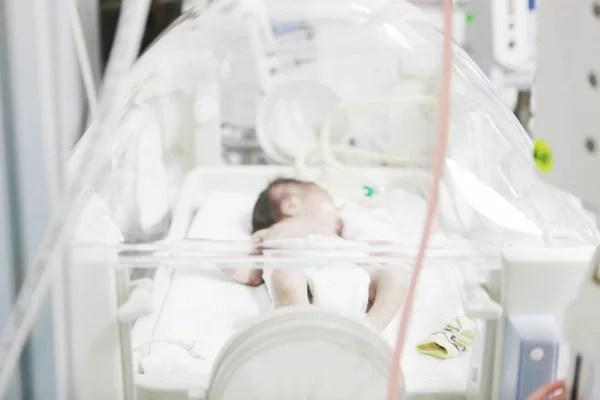 Sliven Bulgaria Enero 2012 Recién Nacido Incubadora Del Hospital —  Fotos de Stock