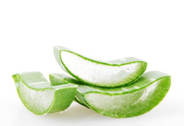 aloe vera bitkisi beyaz üzerine izole