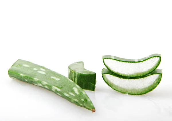 Planta Aloe Vera Isolado Branco — Fotografia de Stock