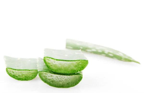 Aloe Vera Bitkisi Beyaz Üzerine Izole — Stok fotoğraf