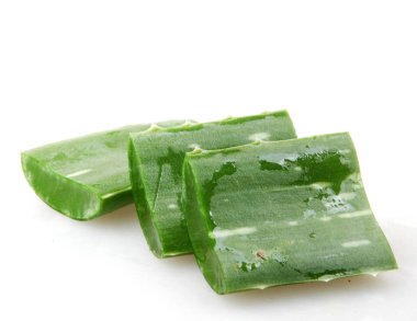Aloe Vera Beyaz Arkaplanda.