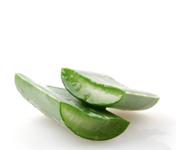 Aloe Vera Sfondo Bianco — Foto Stock