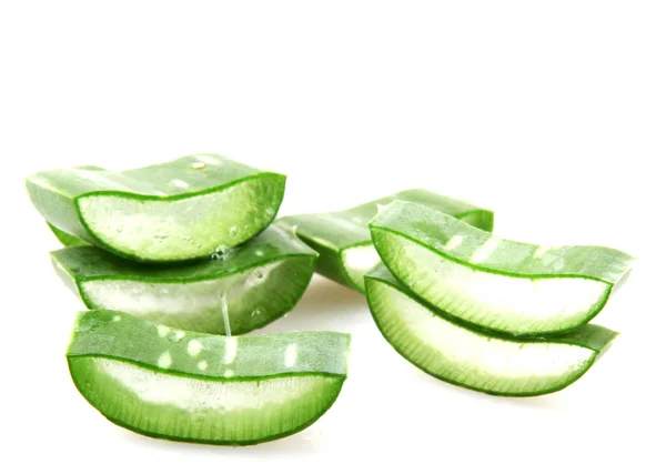 Aloe Vera Latar Belakang Putih — Stok Foto