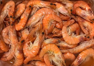 Taze karides arka plan - renkli görüntü