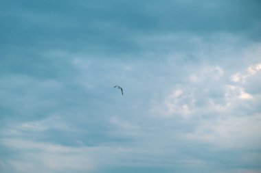 Bulutlar gökyüzü - renkli görüntü üzerinde