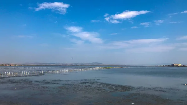 夏天美丽的湖水 — 图库照片