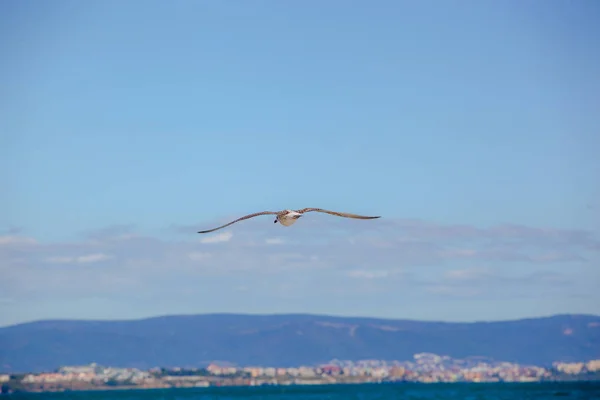 Beautiful Sea View Pomorie Bulgaria — Stock Photo, Image