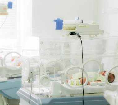Newborn baby in hospital incubator. clipart