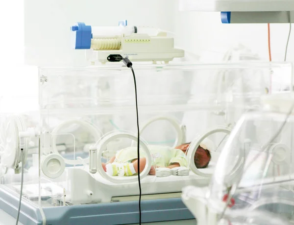 Bebé Recién Nacido Incubadora Del Hospital — Foto de Stock