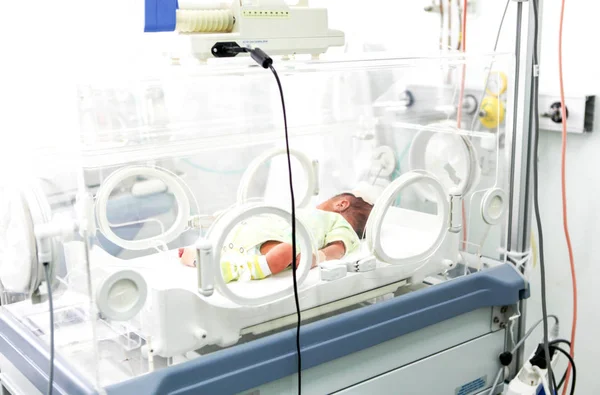 Bebê Recém Nascido Incubadora Hospitalar — Fotografia de Stock