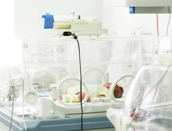 Bebé Recién Nacido Incubadora Del Hospital —  Fotos de Stock
