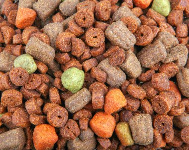Kuru Köpek Gıda beyaz zemin üzerine izole