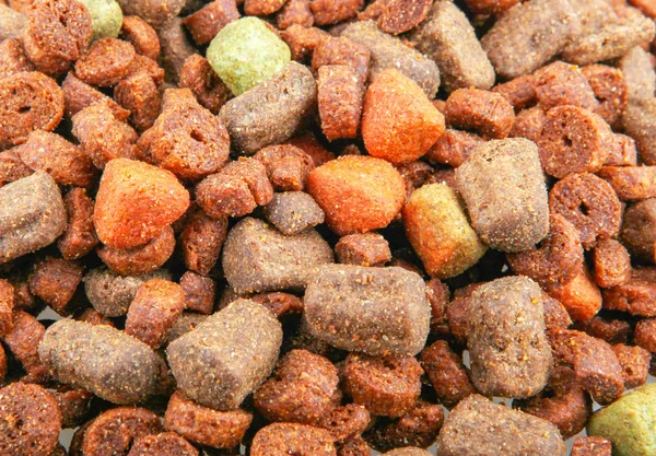 Dry Dog Food Isolated White Background — Stock Photo, Image