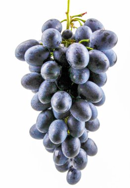 Beyaz arka planda izole edilmiş siyah üzümler.
