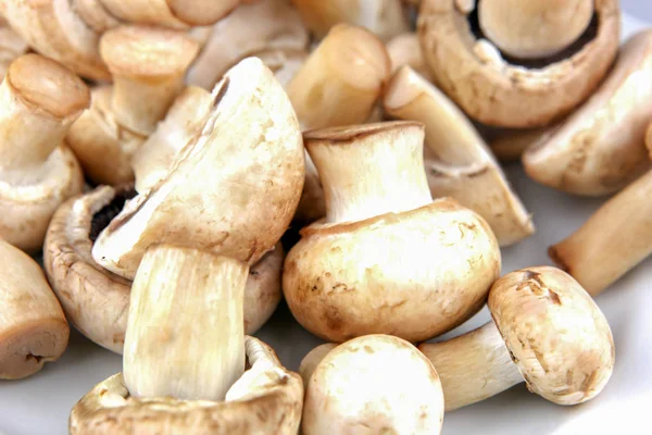 Fresh Champignon Mushrooms Image — Stock Photo, Image