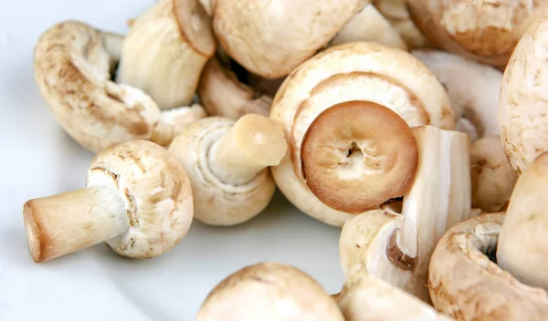 Imagem Cogumelos Champignon Frescos — Fotografia de Stock