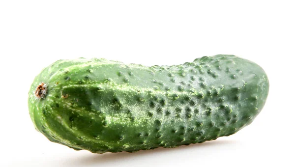 Close Cucumber White Background — Stock Photo, Image