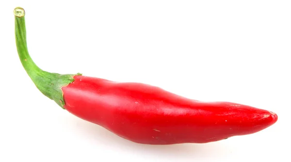 Red Pepper Isolated White — Stock Photo, Image
