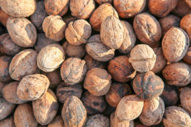 Kuru ceviz arka plan görüntüsü