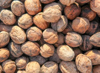 Kuru ceviz arka plan görüntüsü