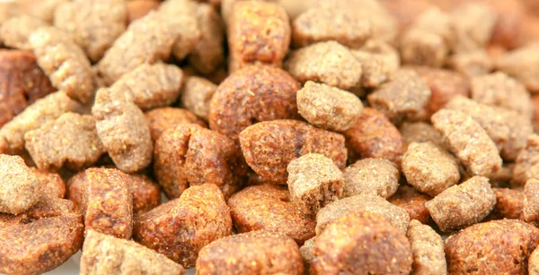 Dry Dog Food Image — Stock Photo, Image