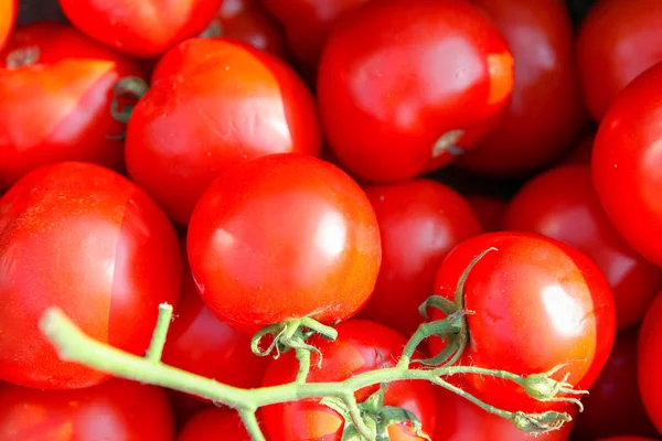 Achtergrondafbeelding Van Verse Tomaat — Stockfoto