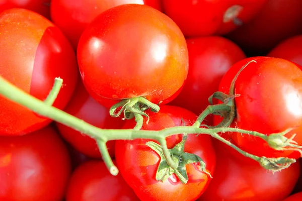 Obraz Tła Świeżych Pomidorów — Zdjęcie stockowe