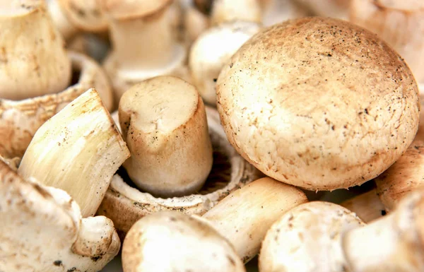 Fresh Champignon Mushrooms Image — Stock Photo, Image