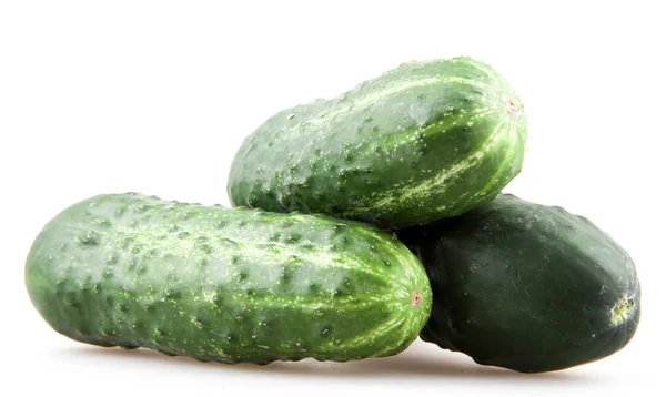 Close Cucumber White Background — Stock Photo, Image