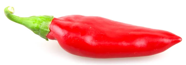 Red Pepper Isolated White — Stock Photo, Image