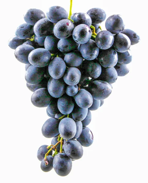 Czarne Winogrona Izolowane Białym Tle — Zdjęcie stockowe