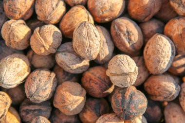 Kuru ceviz arka plan görüntüsü